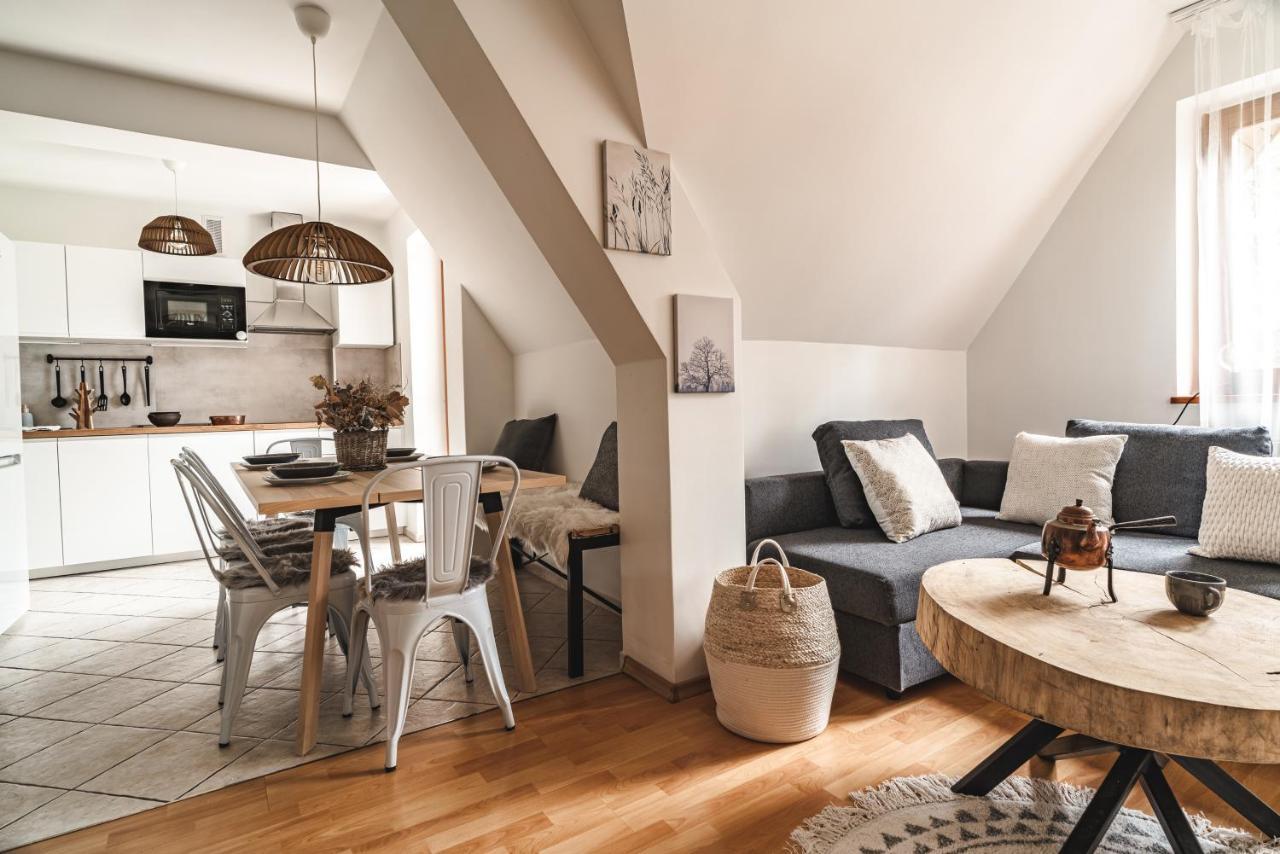 Apartamenty Shanta Kościelisko Extérieur photo